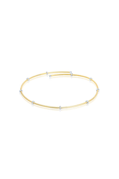 Siena Choker Necklace
